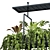 Hanging Plant Set - 05 Varieties 3D model small image 4