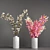 Cozy Collection: Plants Bouquet 3D model small image 3