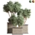 Outdoor Oasis Tree - Lifelike outdoor plant for a refreshing ambiance. 3D model small image 2