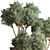 Outdoor Oasis Tree - Lifelike outdoor plant for a refreshing ambiance. 3D model small image 4