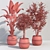 Tropical Greenery Collection 3D model small image 2