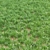 Lush Green Landscape Grass 3D model small image 1