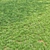 Lush Green Landscape Grass 3D model small image 2