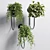 Metal Stand Wall Plant Vase 3D model small image 2