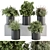 305 Indoor Plant Set: Small Pot 3D model small image 1