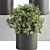 305 Indoor Plant Set: Small Pot 3D model small image 4