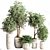 Modern Indoor Plant Set 3D model small image 10