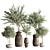 Lush 18-Piece Indoor Plant Set 3D model small image 1
