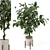 Wood & Concrete Indoor Plant Set 3D model small image 2