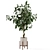 Wood & Concrete Indoor Plant Set 3D model small image 5