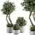 Evergreen Needle Tree & Bush Set 3D model small image 1