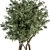 Evergreen Needle Tree & Bush Set 3D model small image 3