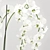 Elegant Orchid Arrangement: 3D Model 3D model small image 1