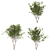 Eurasian Aspen Trio: Quaking Beauty 3D model small image 3