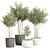 Green Oasis Indoor Plant Set 3D model small image 1