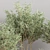 Green Oasis Indoor Plant Set 3D model small image 5
