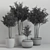 Green Oasis Indoor Plant Set 3D model small image 6