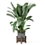 Rustic Concrete Pot Indoor Plants 3D model small image 5