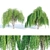 Premium Quality Willow Trees Collection 3D model small image 1