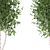 Quaking Aspen Trees Set 3D model small image 3