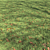 Autumn Leaves Lawn - Scattered Foliage Model 3D model small image 1