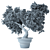 Bonsai Bliss: Indoor Plant Elegance 3D model small image 2