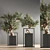 Indoor Bonsai Set: Natural Elegance 3D model small image 3