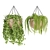 Indoor Hanging Plant Collection: Vol. 41 3D model small image 5