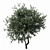 Towering Olive Tree - 6.4m Height 3D model small image 2