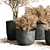 Autumn Plant Collection: 64 Dirty Stone Pots 3D model small image 3