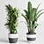 Dirty Concrete Pot Collection: 138 Indoor/Outdoor Plants 3D model small image 3