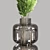 Indoor Plant Bouquet Collection 3D model small image 6