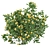 Blooming Bushes Variety Set 3D model small image 3