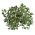 Blooming Bushes Variety Set 3D model small image 4