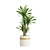Tropical Indoor Plant Collection 3D model small image 3
