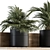 293 Indoor Plant Set 3D model small image 4