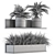 293 Indoor Plant Set 3D model small image 5