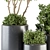Lush Indoor Plant Set: Tree & Bush 3D model small image 3