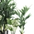 Tropical Plant Collection: Monstera, Palms & Exotics 3D model small image 3