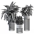 Black Pot Plant Set - Indoor Plant Set with Round Stand 3D model small image 5