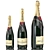 Moët & Chandon Champagne: All Sizes, Premium Quality 3D model small image 2