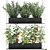 Vertical Garden: Grow Fresh Herbs, Vegetables, and Greens in your Kitchen 3D model small image 2