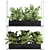 Vertical Garden: Grow Fresh Herbs, Vegetables, and Greens in your Kitchen 3D model small image 4