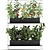 Vertical Garden: Grow Fresh Herbs, Vegetables, and Greens in your Kitchen 3D model small image 5