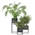 2015 Indoor Plants Set: V-Ray/Corona 3D model small image 6