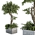 Stone Box Garden: Outdoor Plant Set 3D model small image 2