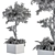 Stone Box Garden: Outdoor Plant Set 3D model small image 5