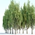 Poplar Trees Collection - Vol. 44: Stunning Diversity & Realistic Details 3D model small image 2
