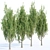 Poplar Trees Collection - Vol. 44: Stunning Diversity & Realistic Details 3D model small image 3