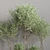 Greenery Haven: 25-Piece Indoor Plant Set 3D model small image 4